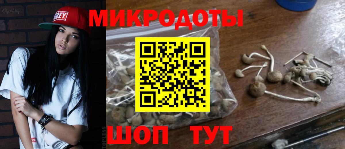 Псилоцибиновые грибы GOLDEN TEACHER Тимашёвск