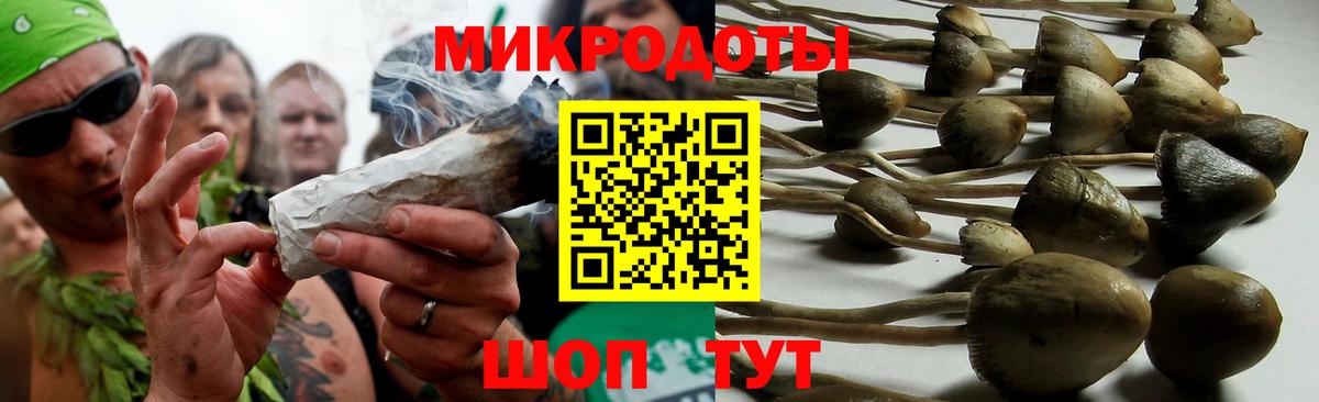 Тимашёвск  наркошоп  Вход с VPN  Псилоцибиновые грибы Psilocybine cubensis  Галлюциногенные грибы Psilocybe 